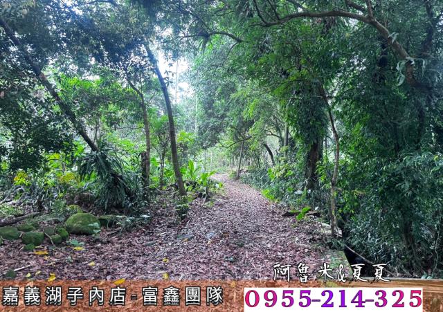 嘉義農地-3