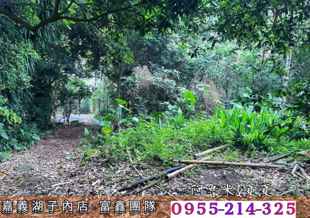 嘉義農地-4