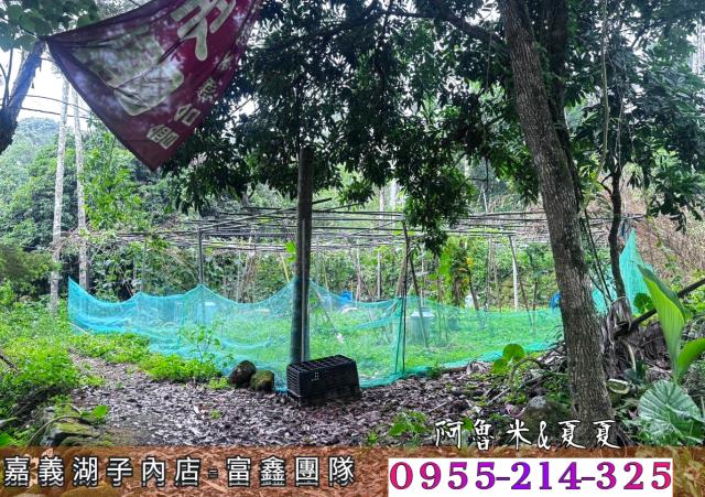 嘉義農地-6