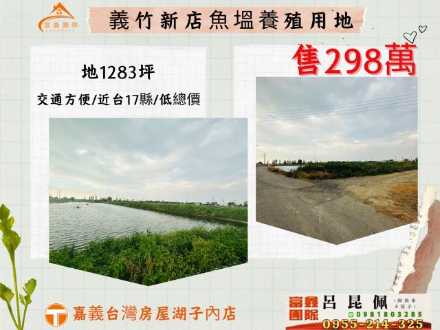 嘉義義竹農地-0