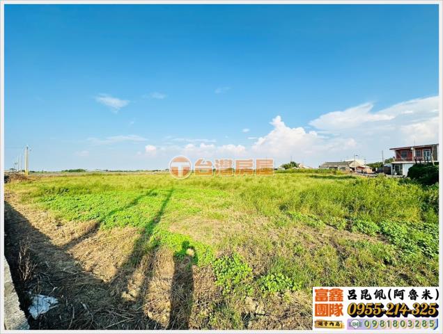 嘉義義竹農地-3
