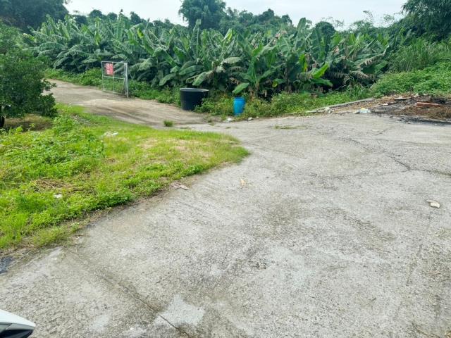 嘉義大林農地-1