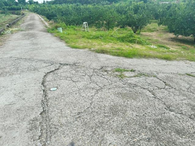 嘉義大林農地-3