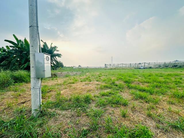 嘉義中埔農地-3