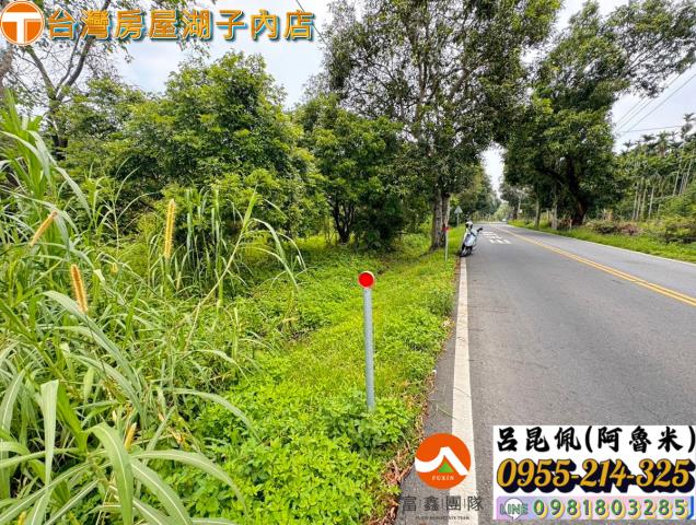 嘉義農地-2