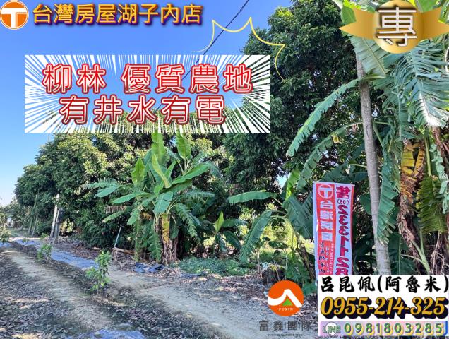 嘉義水上農地-0