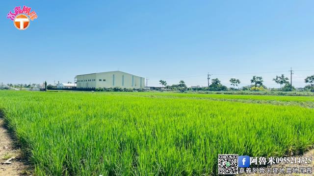 嘉義農地-0