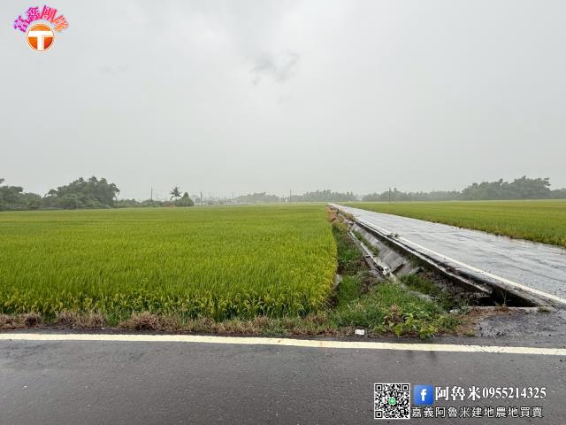 台南農地-4