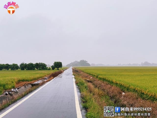 台南農地-5