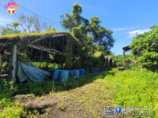台南白河農地-2