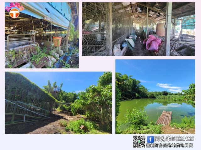 台南白河農地-3