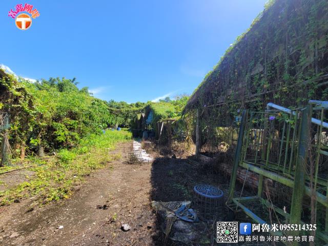 台南白河農地-4
