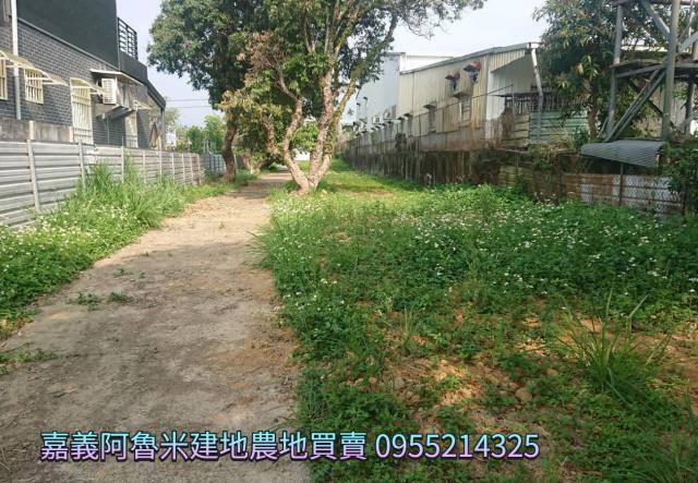 番路農地-6