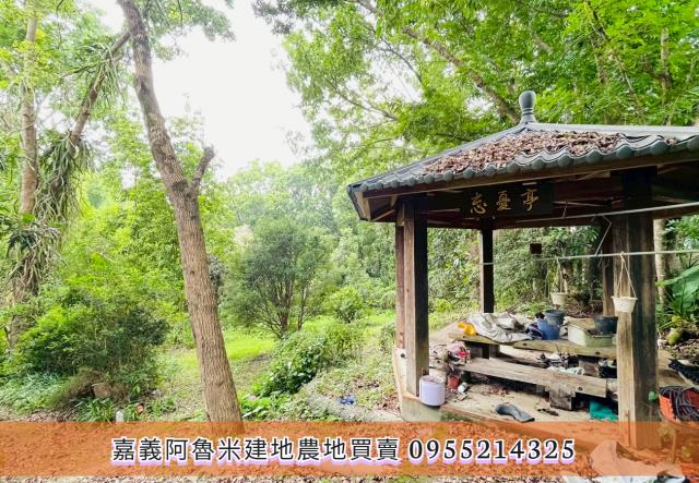 竹崎農地-4