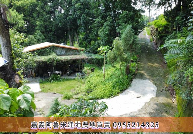 竹崎農地-5