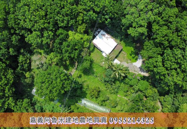 竹崎農地-6
