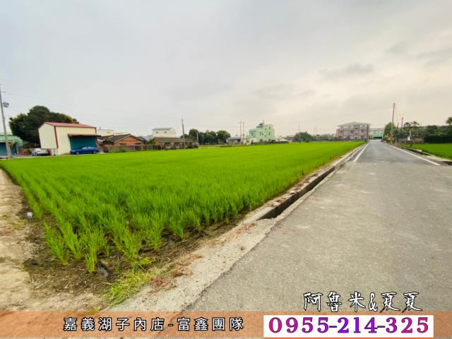 嘉義農地-1