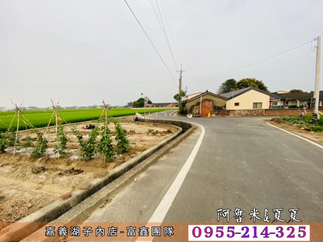 嘉義農地-4