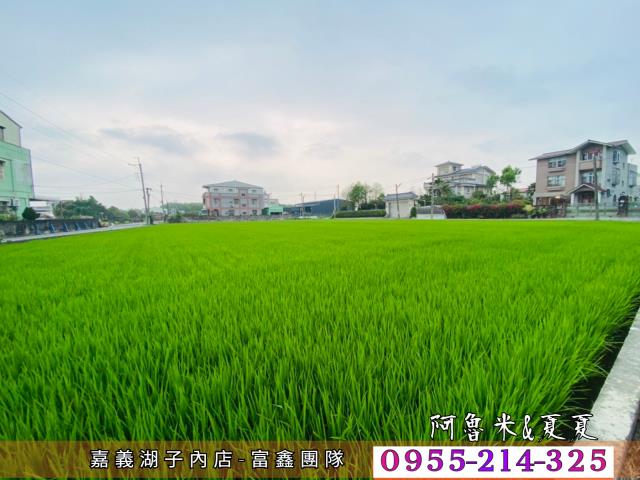 嘉義農地-5