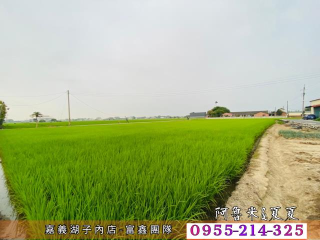 嘉義農地-6