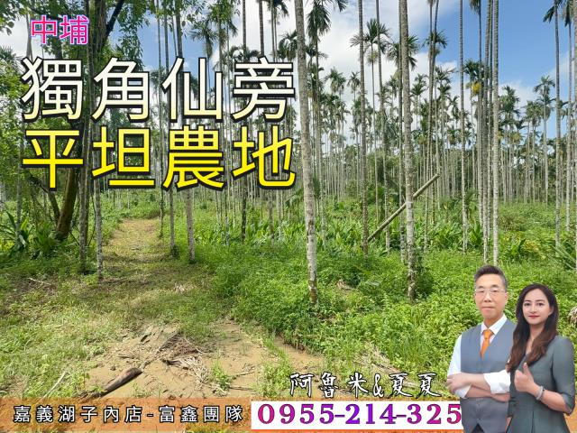 中埔農地-0
