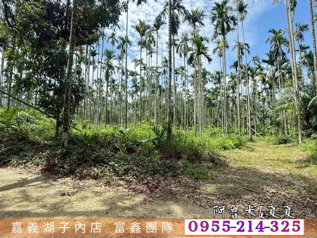中埔農地-1