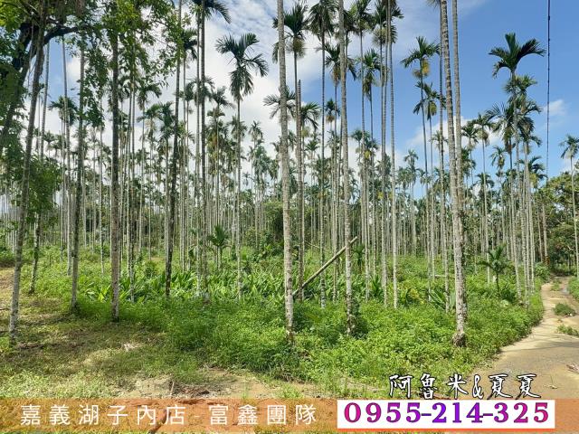 中埔農地-2