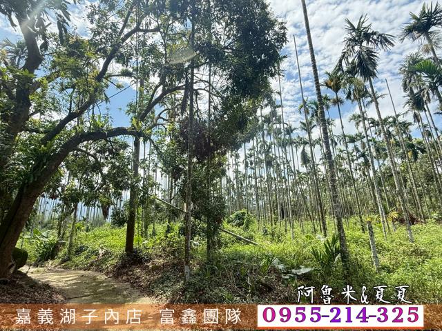 中埔農地-3