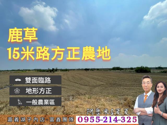 嘉義農地-0