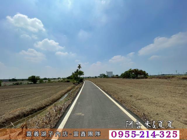嘉義農地-5