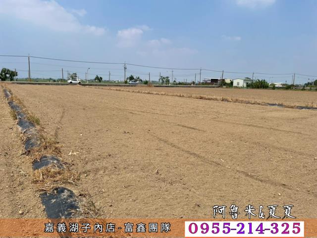 嘉義農地-6