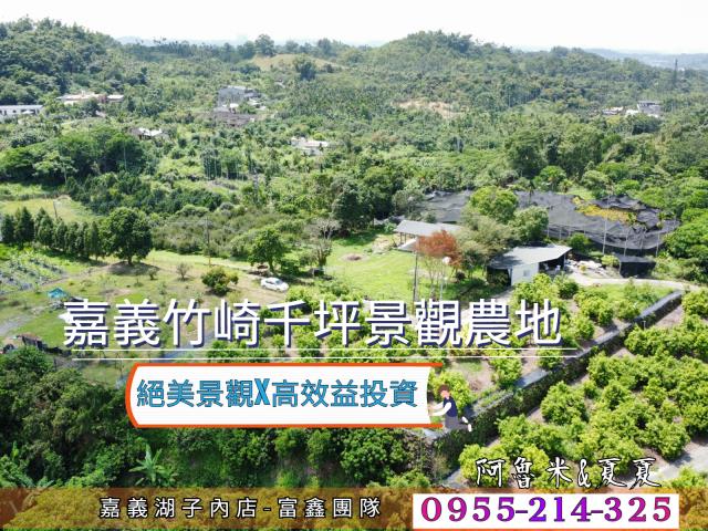 竹崎農地-0