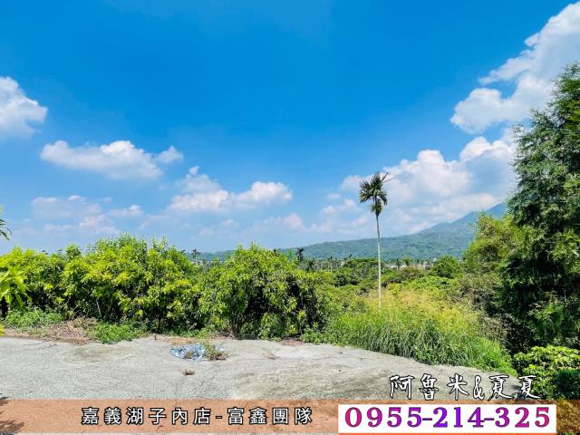 竹崎農地-1
