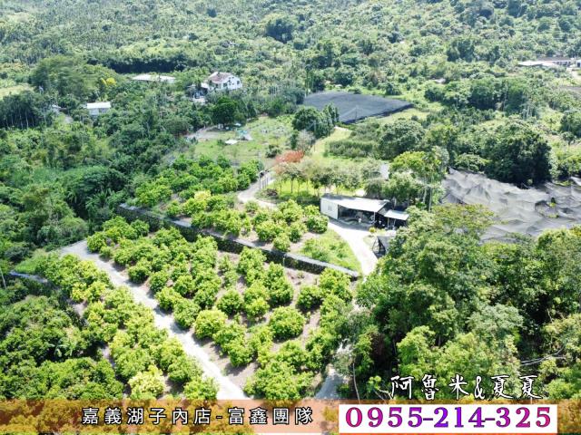 竹崎農地-3