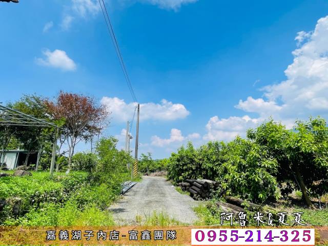 竹崎農地-4