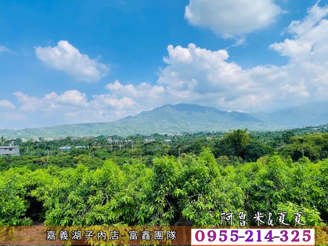 竹崎農地-5