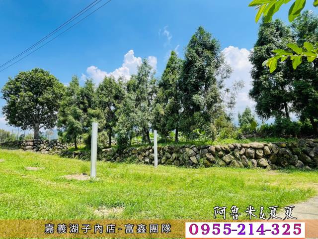 竹崎農地-6