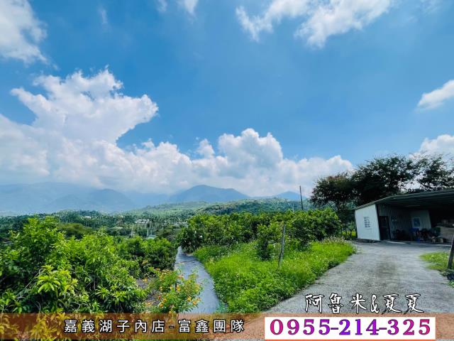 竹崎農地-7