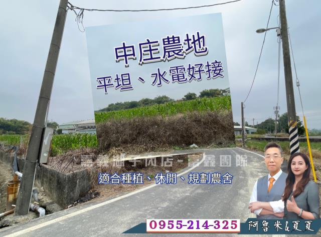 水上農地-0