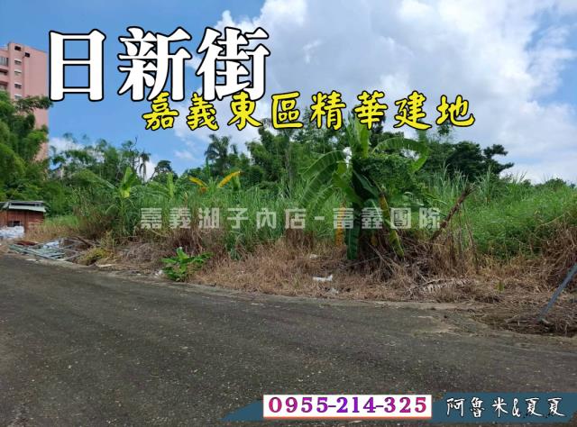 東區農地-0