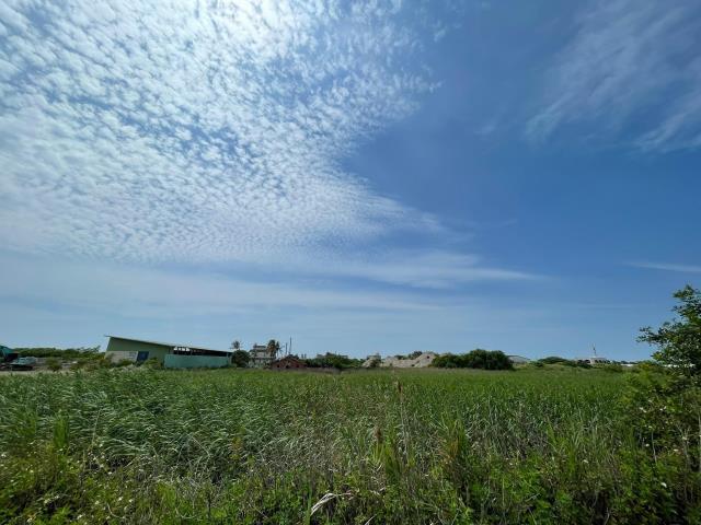 口湖農地-4