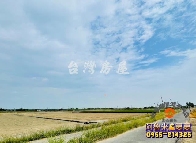 嘉義水上農地-5