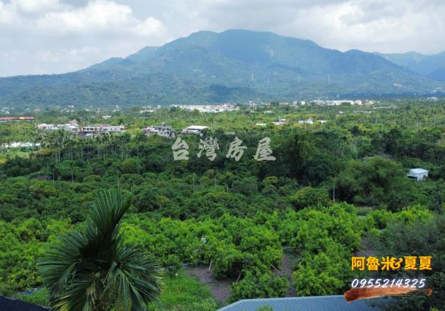 嘉義農地-8