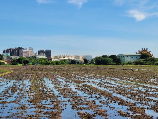 嘉義東區農地-1