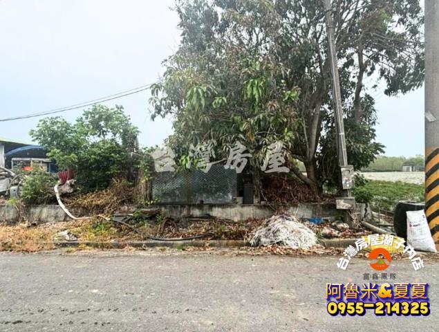 台南白河農地-6