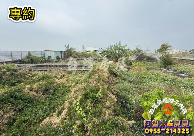 嘉義農地-0
