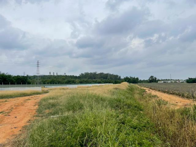民雄農地-3