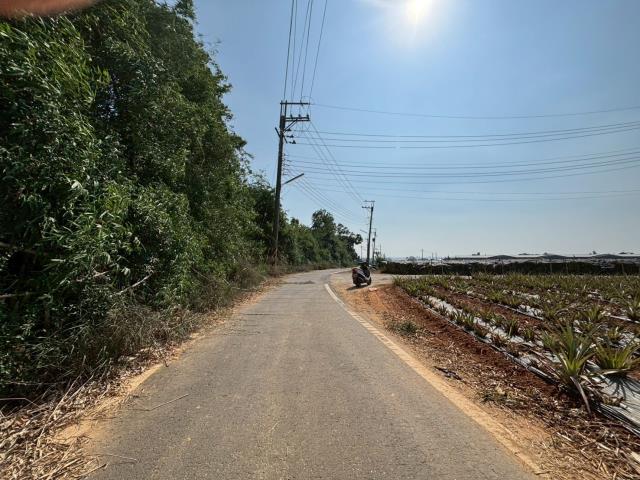 嘉義民雄農地-2