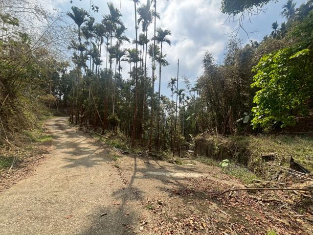 嘉義竹崎林地-4