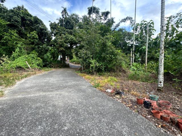 嘉義竹崎農地-6